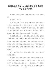 县领导学习贯彻2025年主题教育理论学习中心组发言材料