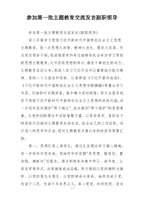 参加第一批主题教育交流发言副职领导