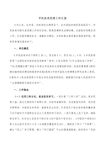 市民政局党建工作汇报