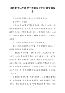 团市委书记在团建工作会议上的经验交流发言