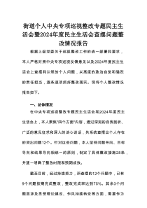 街道个人中央专项巡视整改专题民主生活会暨2024年度民主生活会查摆问题整改情况报告