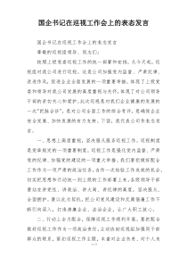 国企书记在巡视工作会上的表态发言