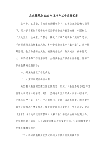 应急管理局20XX年上半年工作总结汇报