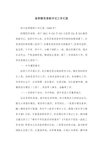 挂职镇党委副书记工作汇报