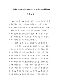 国有企业党委书记学习2025年两会精神研讨发言材料