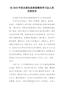 在2025年党支部先进典型集体学习会上的交流发言