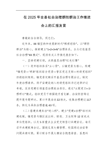 在2025年全县社会治理群防群治工作推进会上的汇报发言