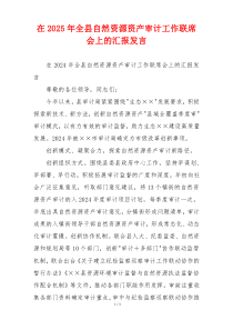 在2025年全县自然资源资产审计工作联席会上的汇报发言