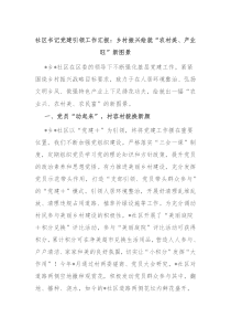 社区书记党建引领工作汇报乡村振兴绘就农村美产业旺新图景
