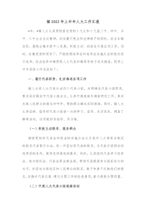 镇20XX年上半年人大工作汇报