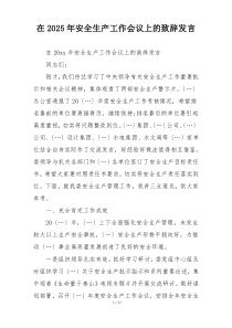 在2025年安全生产工作会议上的致辞发言