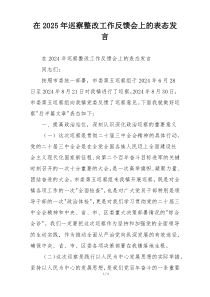 在2025年巡察整改工作反馈会上的表态发言