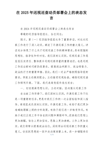 在2025年巡视巡查动员部署会上的表态发言