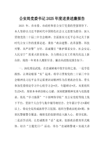公安局党委书记2025年度述责述廉报告