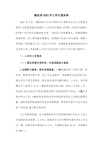 镇政府20XX年工作汇报材料