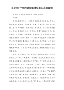在2025年市两会分组讨论上的发言提纲