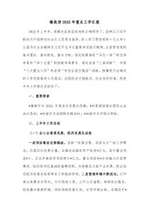 镇政府20XX年重点工作汇报