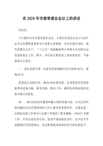 在2025年市委常委会会议上的讲话