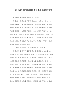 在2025年市委巡察启动会上的表态发言