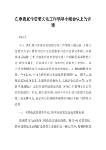 在市委宣传思想文化工作领导小组会议上的讲话