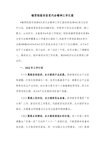 镇贯彻落实县党代会精神工作汇报