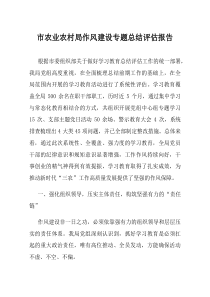市农业农村局作风建设专题总结评估报告