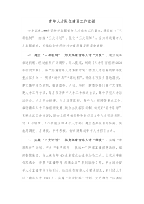 青年人才队伍建设工作汇报