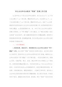 非公企业和社会组织两新党建工作汇报