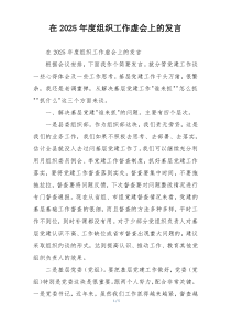 在2025年度组织工作虚会上的发言