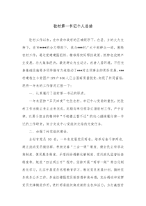 驻村第一书记个人总结