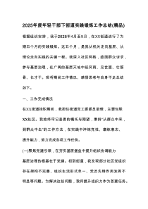 2025年度年轻干部下街道实践锻炼工作总结（精品）