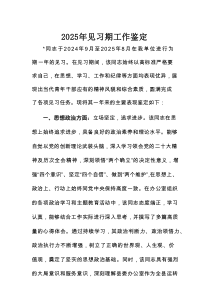2025年见习期工作鉴定