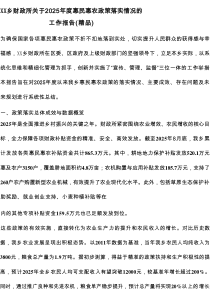 XX乡财政所关于2025年度惠民惠农政策落实情况的工作报告（精品）