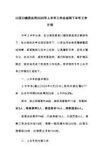 XX区XX镇派出所2025年上半年工作总结和下半年工作计划