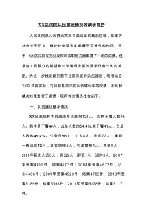 XX区法院队伍建设情况的调研报告