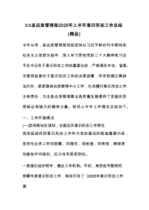 XX县应急管理局2025年上半年意识形态工作总结（精品）