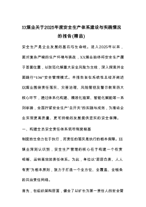 XX煤业关于2025年度安全生产体系建设与实践情况的报告（精品）