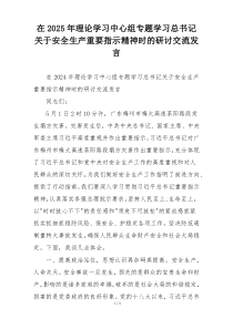 在2025年理论学习中心组专题学习总书记关于安全生产重要指示精神时的研讨交流发言