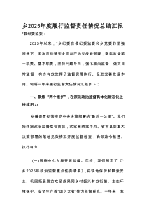 乡2025年度履行监督责任情况总结汇报