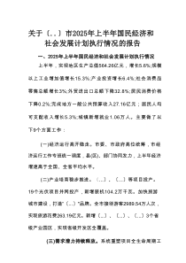 关于市2025年上半年国民经济和社会发展计划执行情况的报告