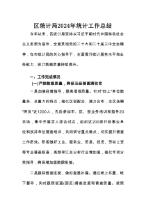 区统计局2024年统计工作总结