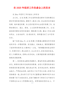 在2025年组织工作务虚会上的发言