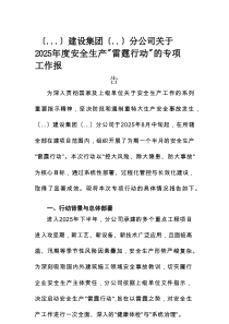建设集团分公司关于2025年度安全生产“雷霆行动”的专项工作报告