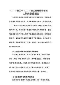 镇关于2025年8月镇区街道综合治理工作的总结报告