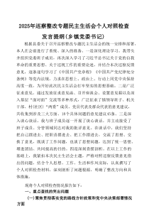 2025年巡察整改专题民主生活会个人对照检查发言提纲（乡镇党委书记）