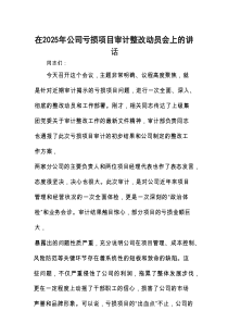 在2025年亏损项目审计整改动员会上的讲话（公司）