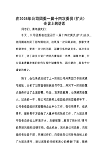 在2025年团委一届十四次委员（扩大）会议上的讲话（公司）