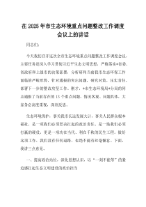 在2025年市生态环境重点问题整改工作调度会议上的讲话