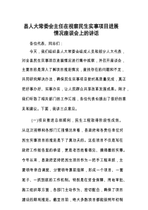 在视察民生实事项目进展情况座谈会上的讲话（县人大常委会主任）