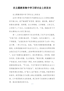在主题教育集中学习研讨会上的发言